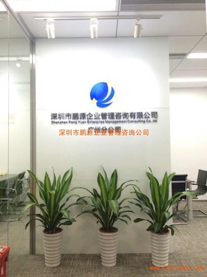 深圳市鵬源企業管理咨詢公司 引領企業發展的智慧引擎